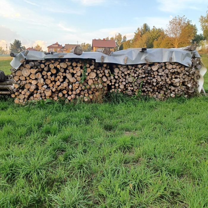 Drewno drzewo opałowe