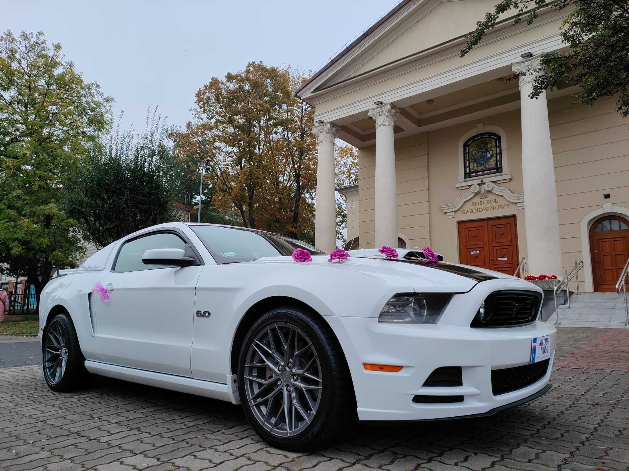 Mustang GT 5.0 do ślubu, biały | Terminy 2025