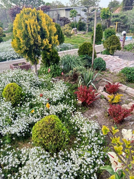 Сдам дом в Фонтанка 3