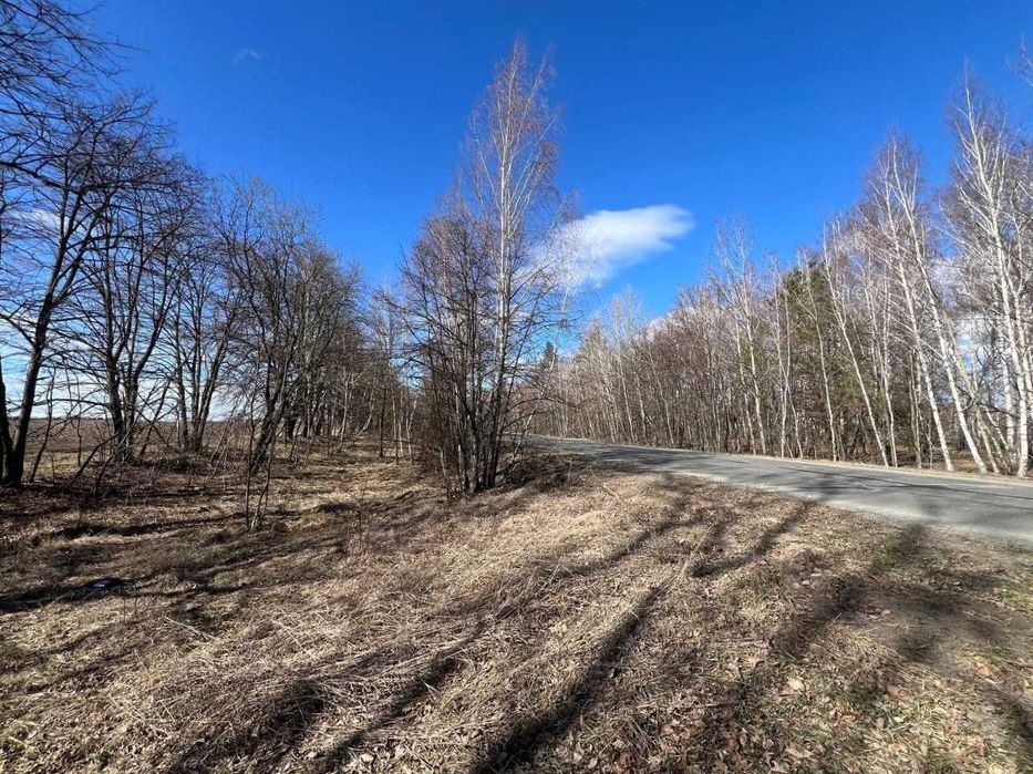 Продаж земельної ділянки 38,59 соток (ОСГ). 50 метрів від траси.ID:678