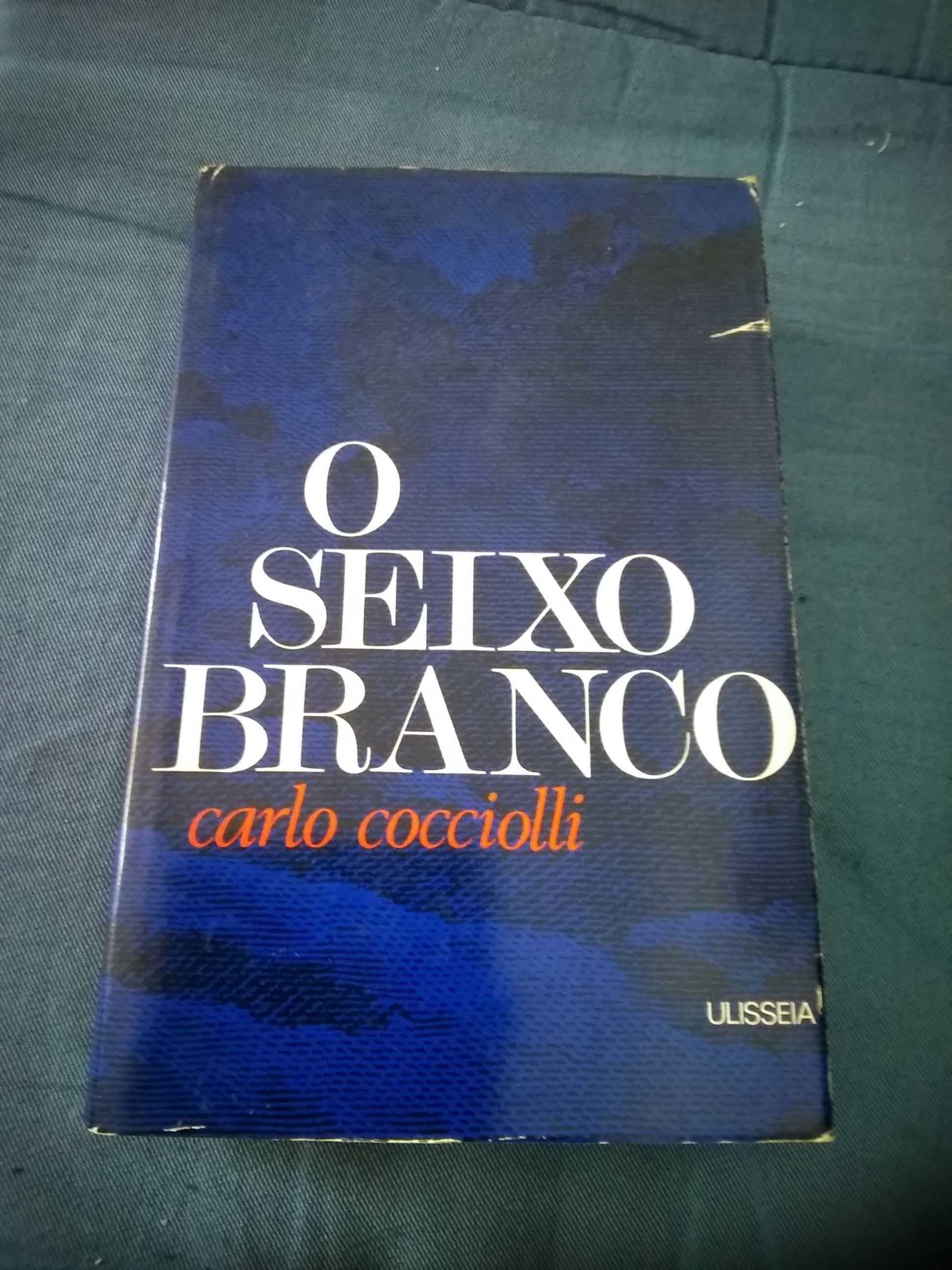 Livro - O seixo branco