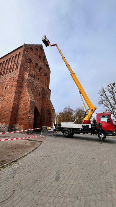 Wycinka drzew, Podnośniki koszowe wynajem