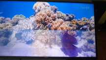 Serwis RTV - Naprawa TV z LCD, Oled, Qled,  Radio code