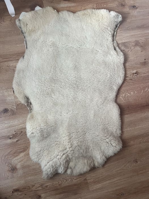 Biala duza skora z barana