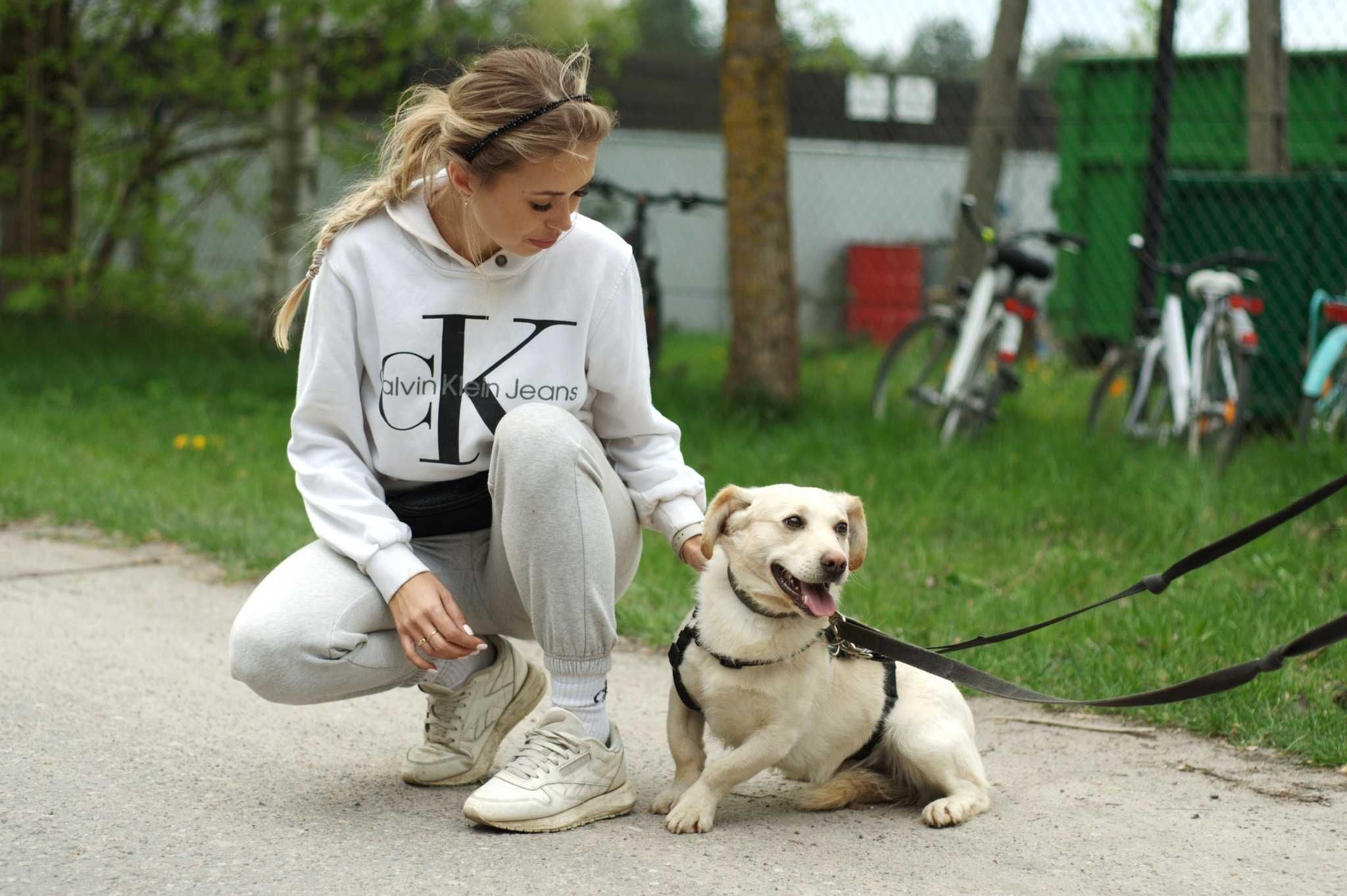 Ojedin -  mały bojuch szuka wsparcia i miłości.