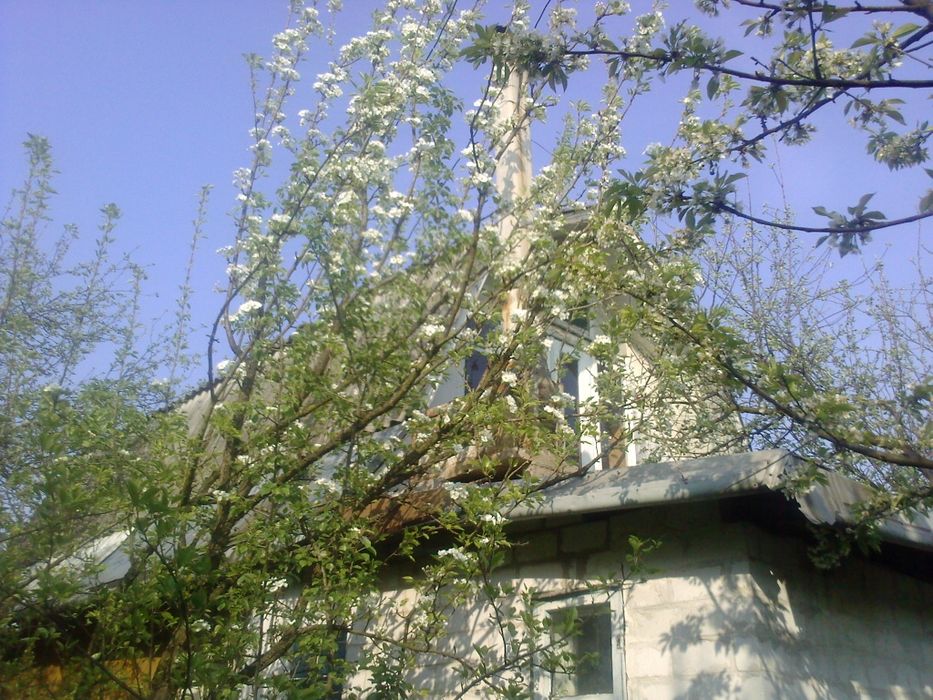 Продам дачу Дача на продаж в Чубінському ( ст Агро ) в 15 км від метро