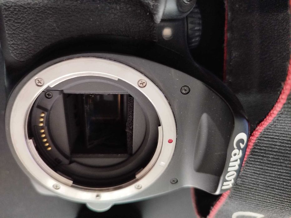 Canon eos 550d sem lente