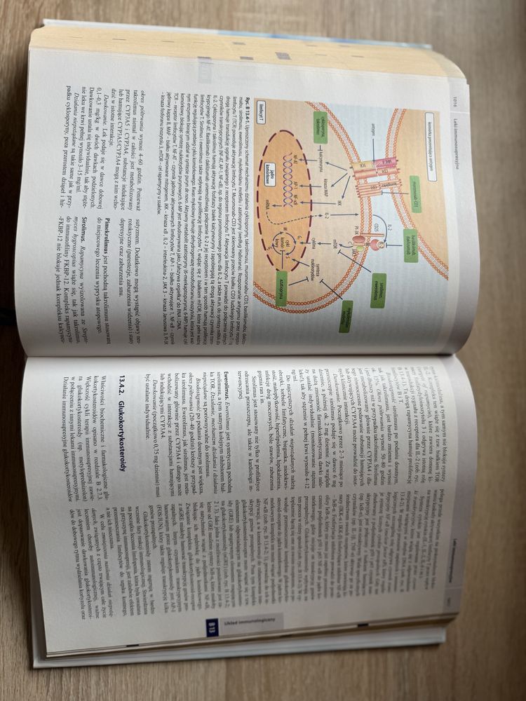 Farmakologia i Toksykologia - Mutschler