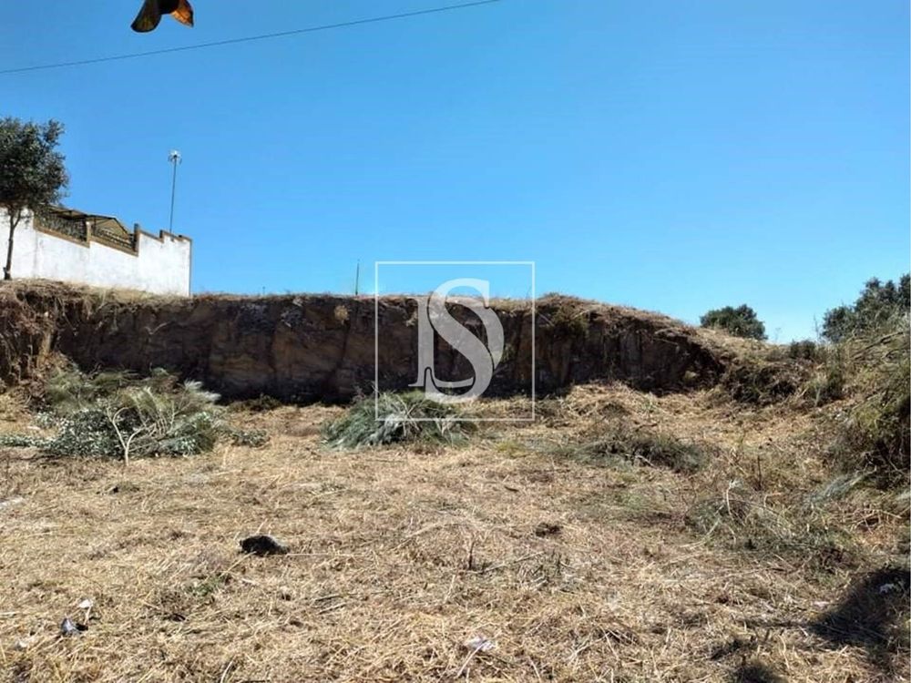 TERRENO PARA CONSTRUÇÃO ( ABRANTES )