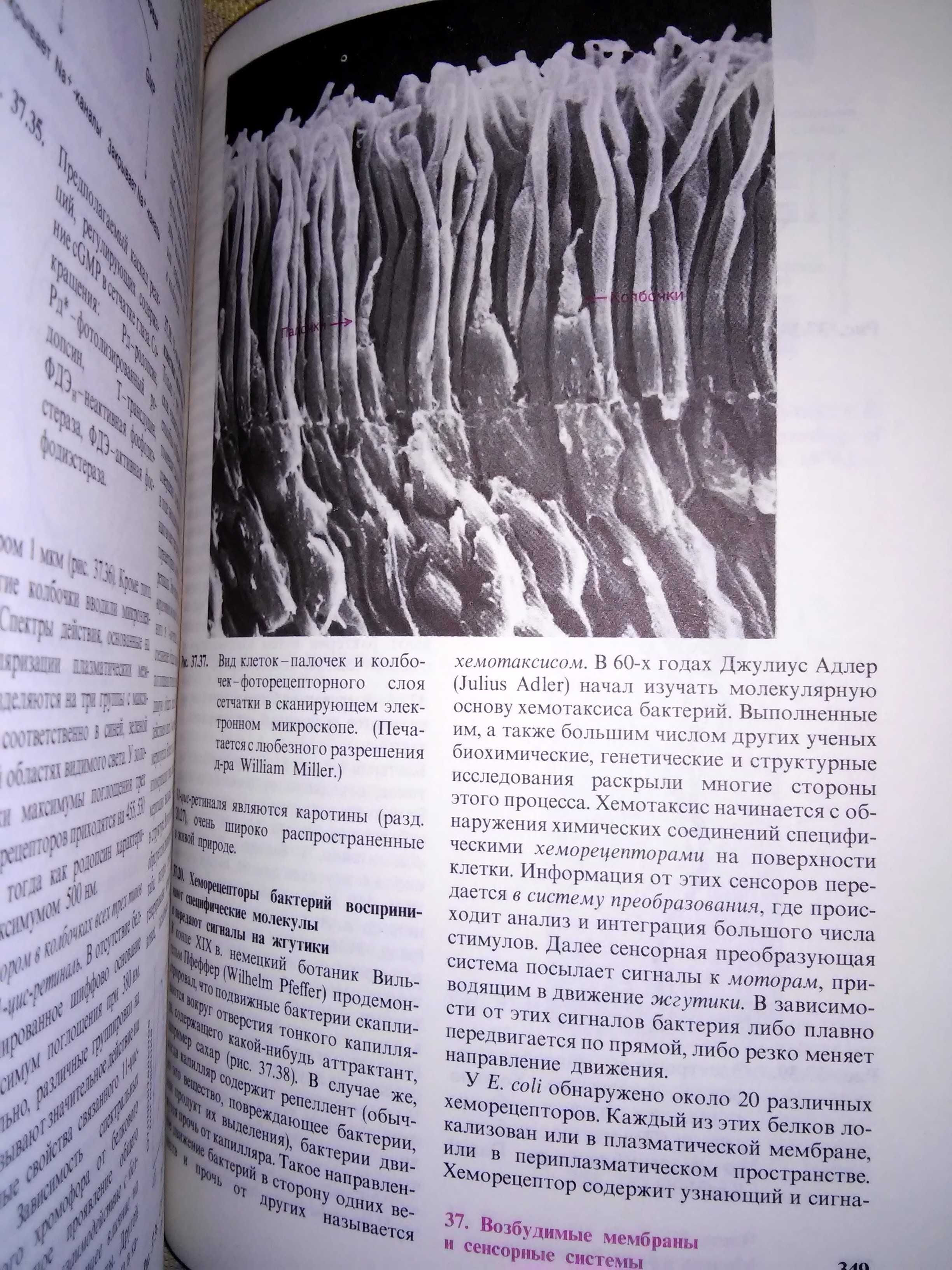 Страйер Биохимия в 3-х томах