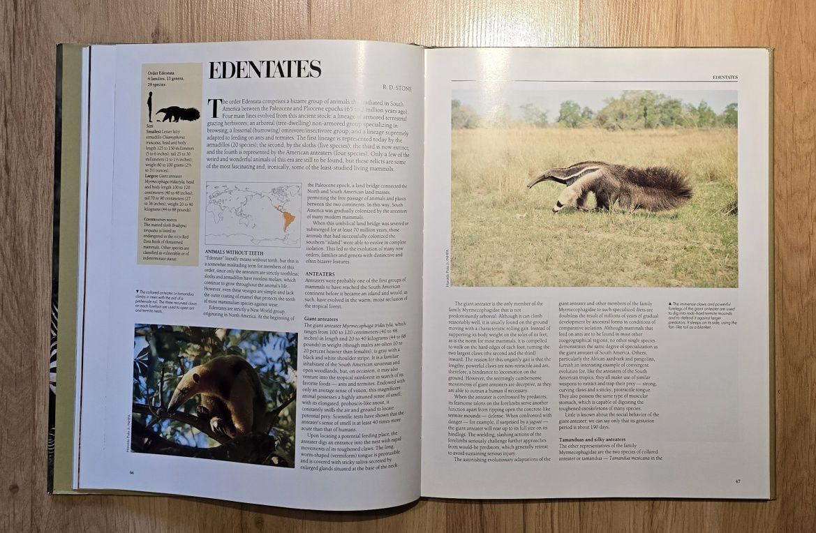 Zoologia Ssaki Encyklopedia of Mammals G McKay j. ang. Piękny album *