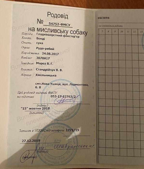 Фокстерьер /пара племінна!/