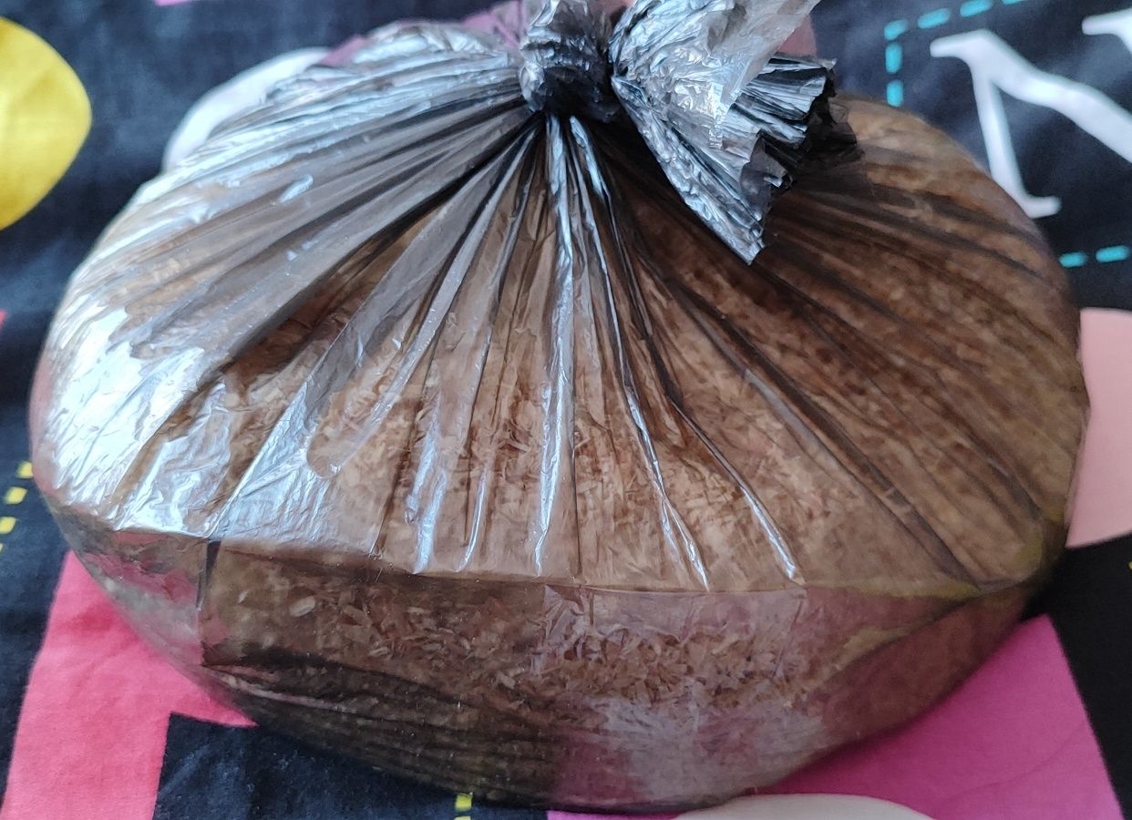 Terrarium dla węża