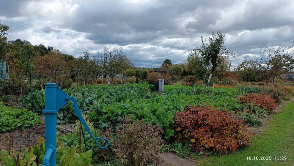 Działka ROD im. Marcina Rożka