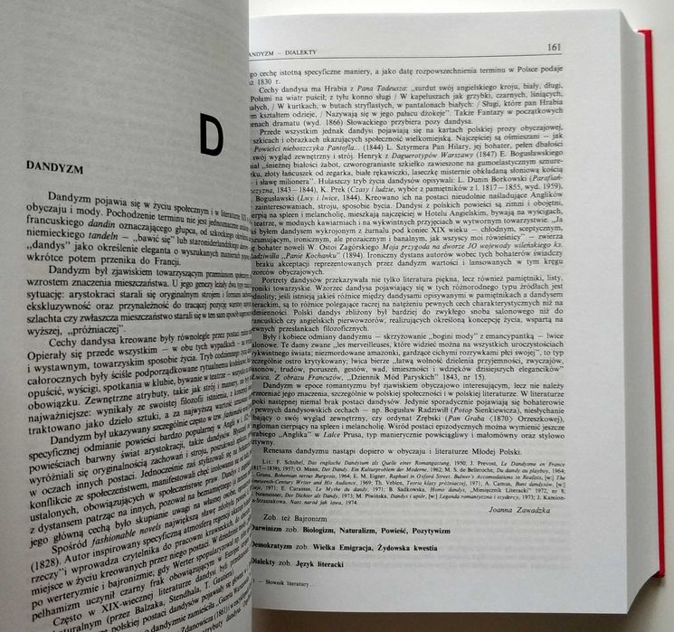 Słownik literatury polskiej XIX wieku. Vademecum polonisty, NOWA!