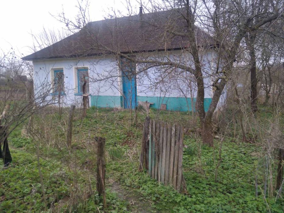 Продається будинок в Дзеленцях