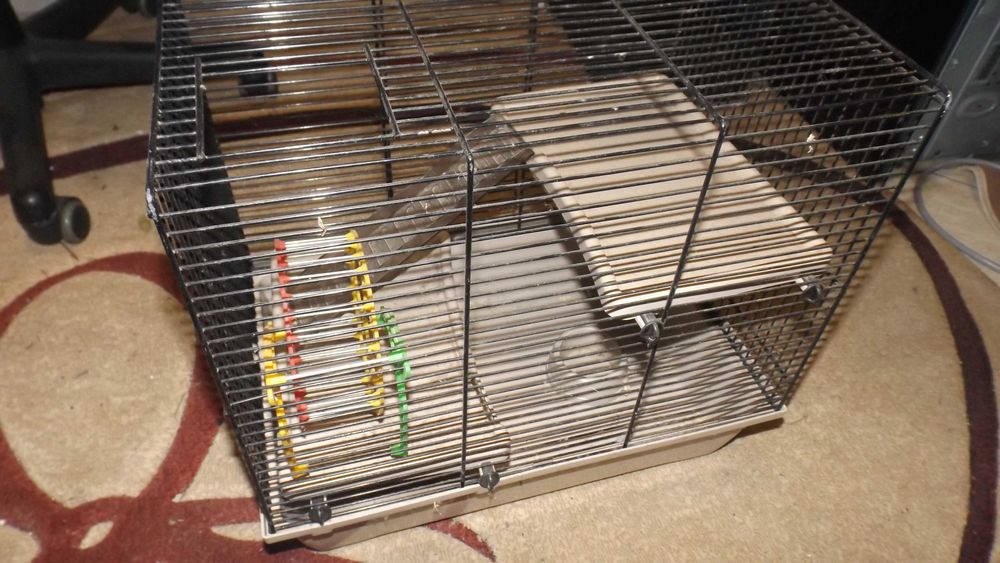 klatka dla ptaków lub inne na zwierzęta, akwarium