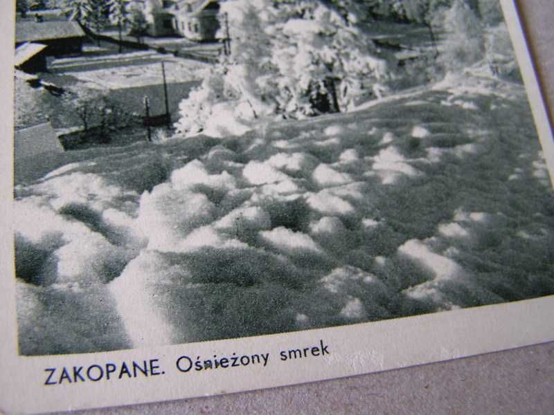 Zakopane -Ośniezony smerk - kartka 1937r.