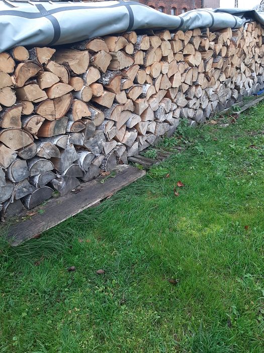 Drewno, drzewo kominkowe brzoza