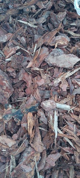 Kora sosnowa do ogrodu