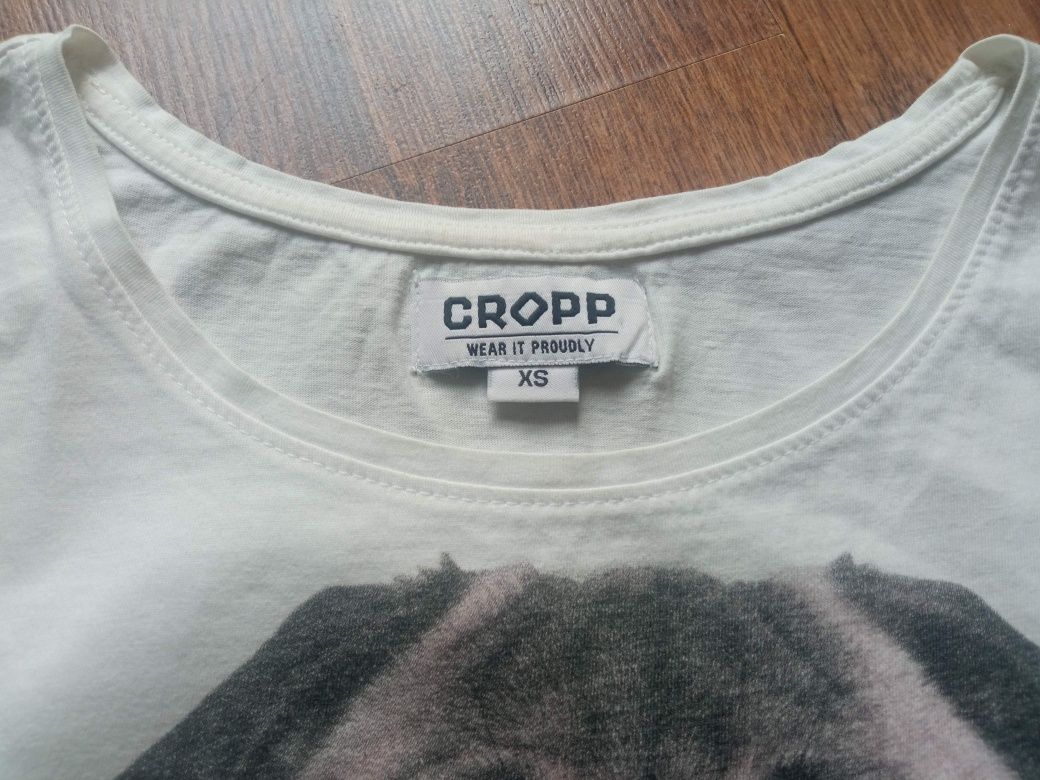 Bluzka podkoszulka  koszulka XS mops Cropp