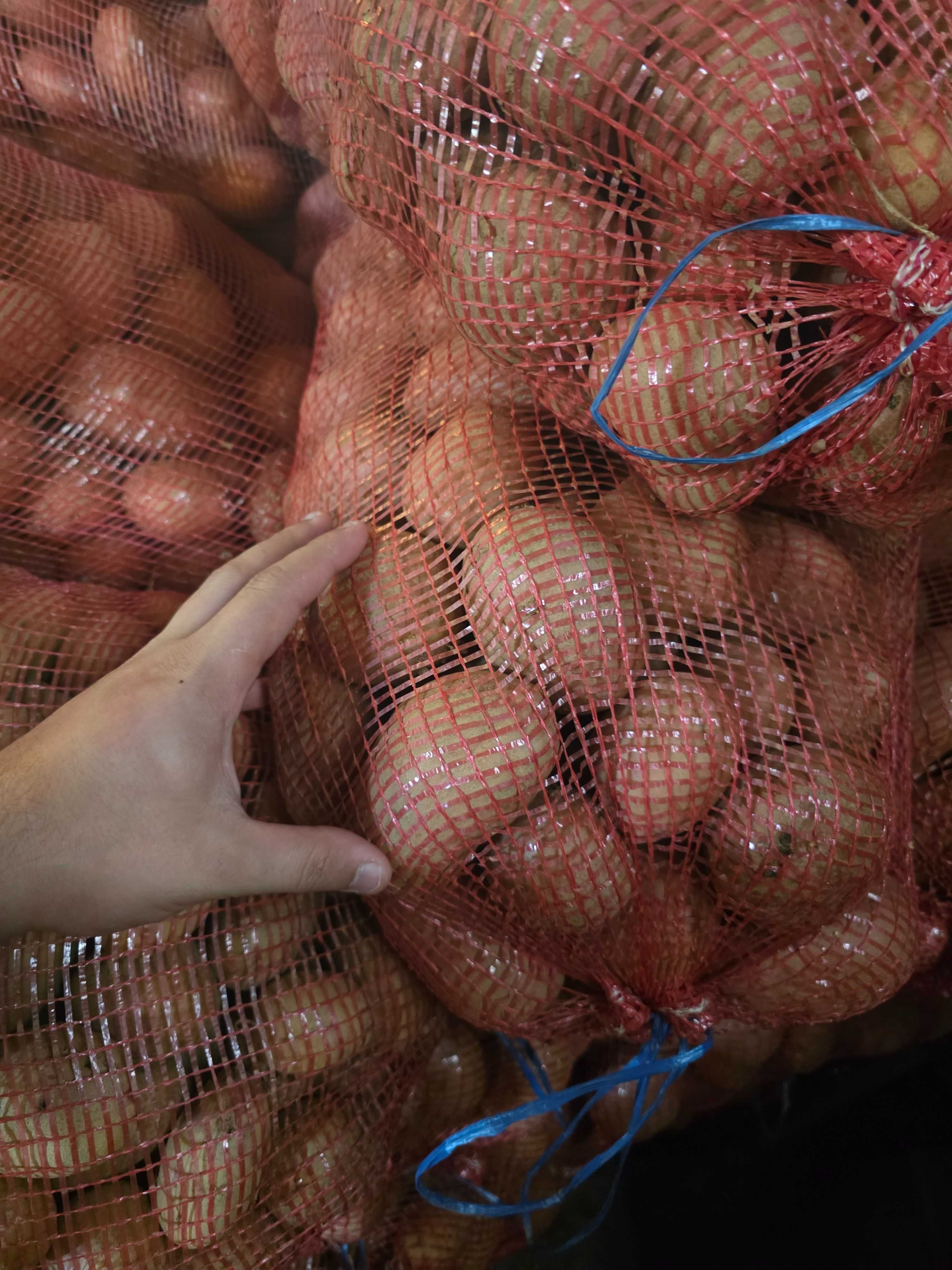 Vendo Batatas a 0,85€ o quilo (Kg) - 17€/20Kg - "A Avó Mimi".