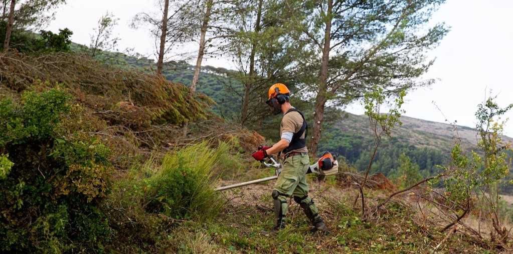 Serviços de limpeza com Roçadora