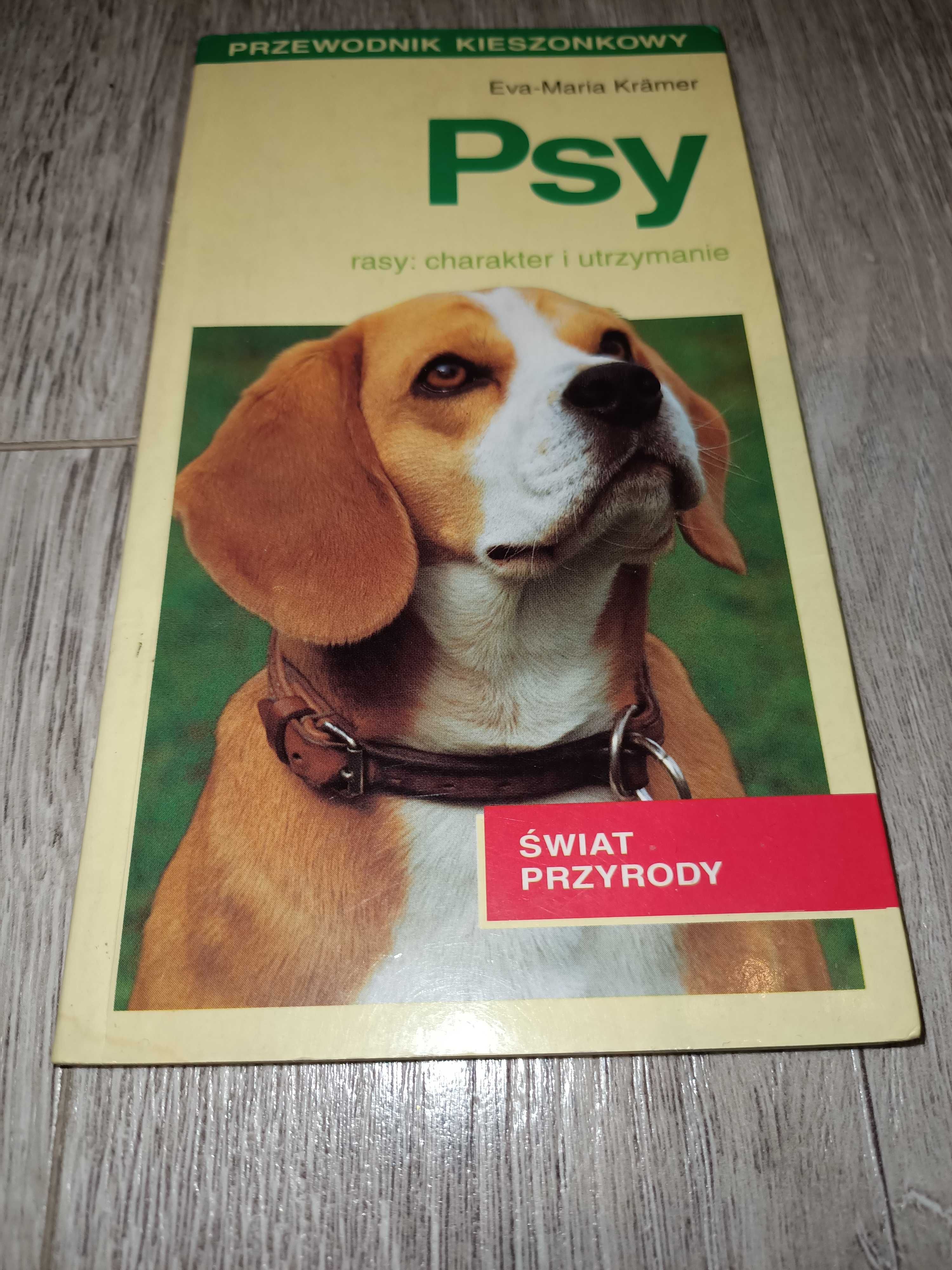 Psy Eva-Maria Kramer
