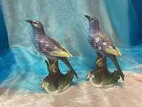 Aves biscuit pintura manual