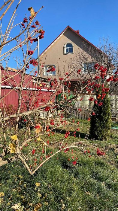 Продається будинок з ділянкою,банею. Зручна локація.