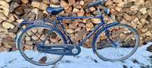 Rower Gazelle Primeur