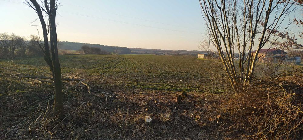 Sprzedam działki budowlane - Jemiołów, gm. Łagów Lubuski