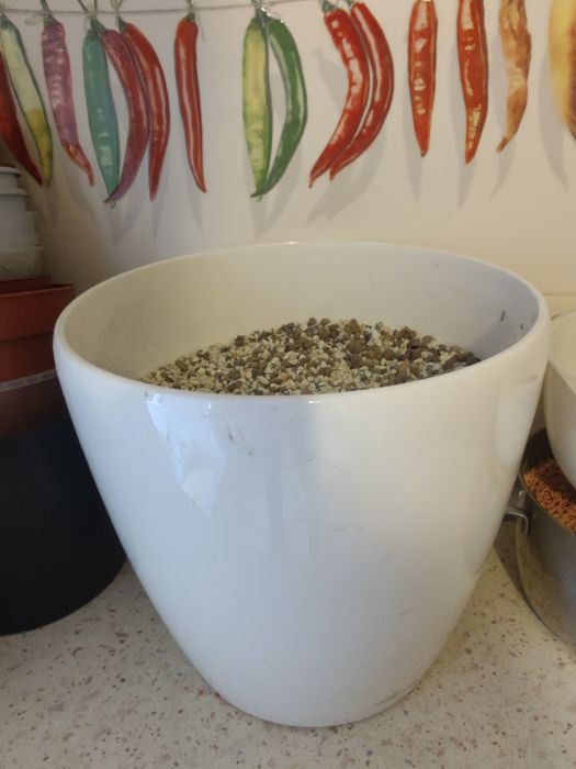 Mieszkanka do monster i filodendronów + ozdobna donica (osłonka)