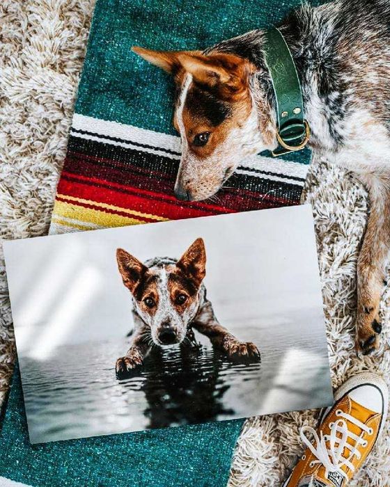 Картина на HD металі з вашим зображенням або фото .