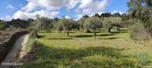 Terreno em Aranhas