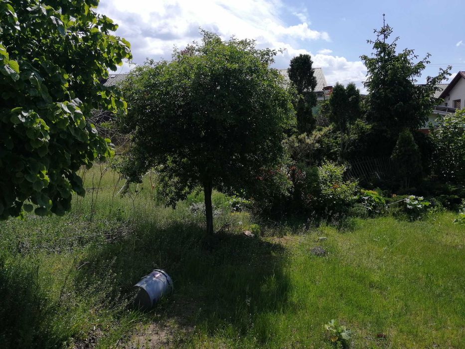 syndyk sprzeda z wolnej ręki udział w domu położonym w Bartniczce