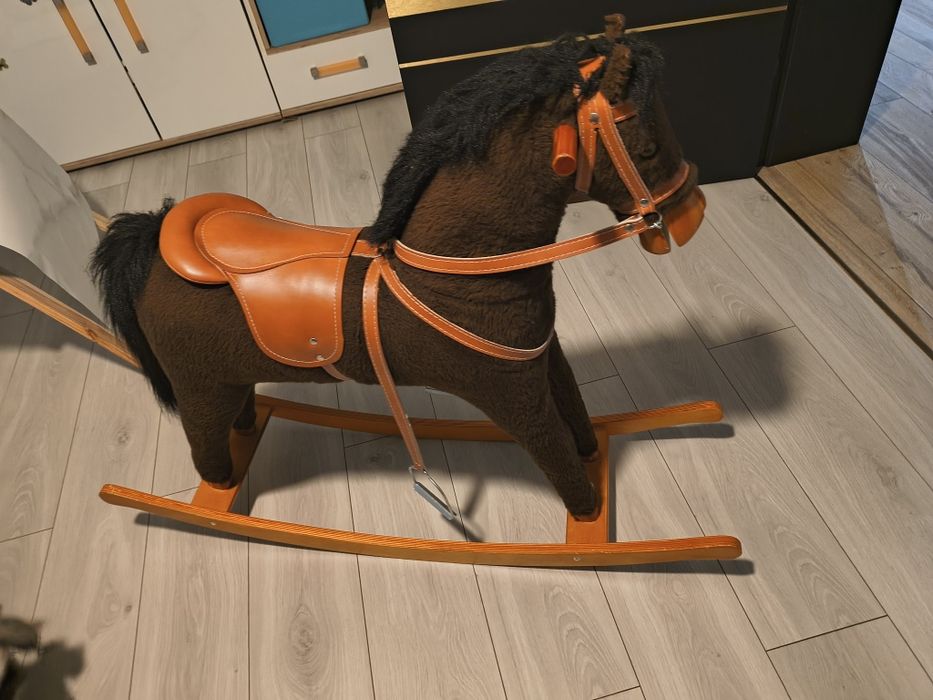 Koń na biegunach duzy