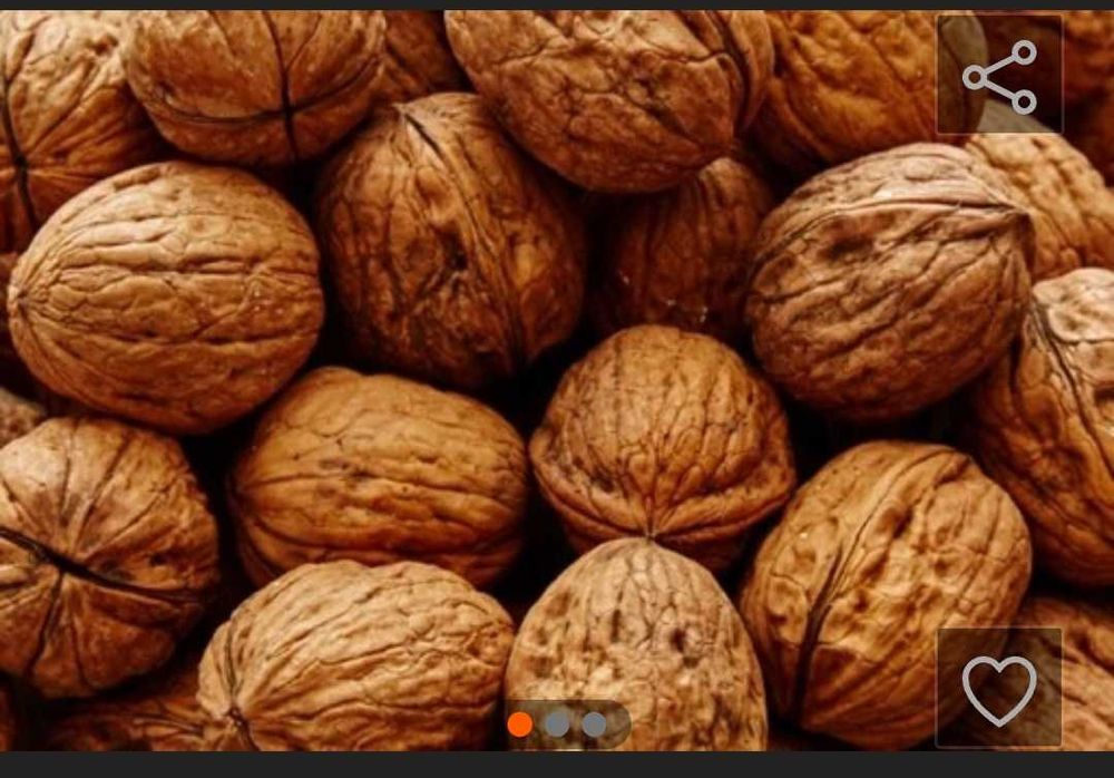 Orzechy włoskie sprzedam