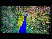 Samsung QE65QN800C – 65” Neo QLED 8K