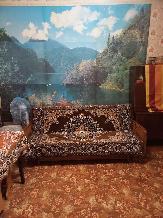 Продаж будинку в селi Чистопiль