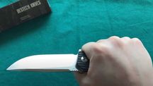 Bestech Knives Lion нож ніж Фліппер EDC Liner Lock подарунок Брелок