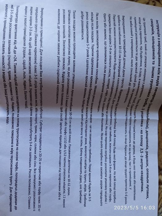 мицелий 100 грамм Шампиньон садовый