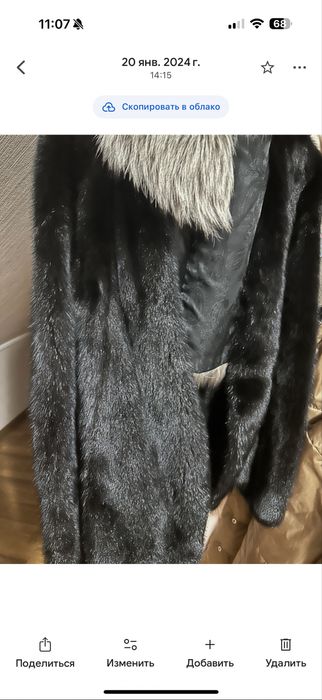 Норка грецька коротка