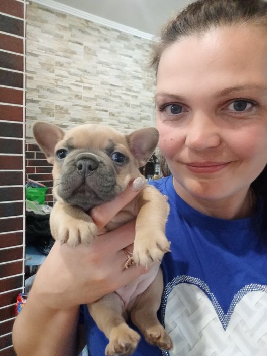 Шикарные карапузики ждут родителей