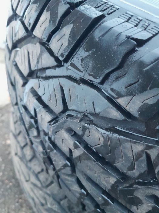 Kormoran 2sztuki. zimowe