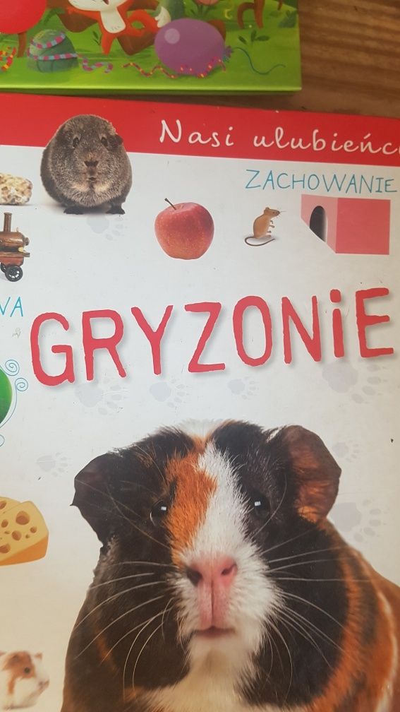 Gryzonie i małe ssaki, gang świezakow