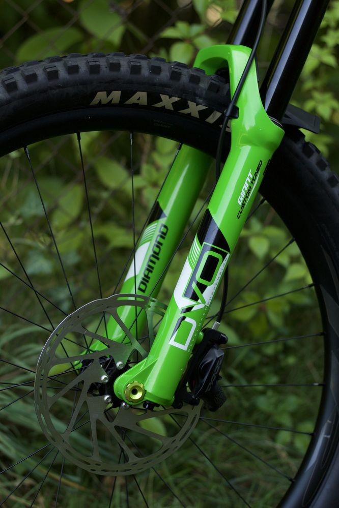 Rower enduro Giant Reign Advanced 1 2019 Carbon