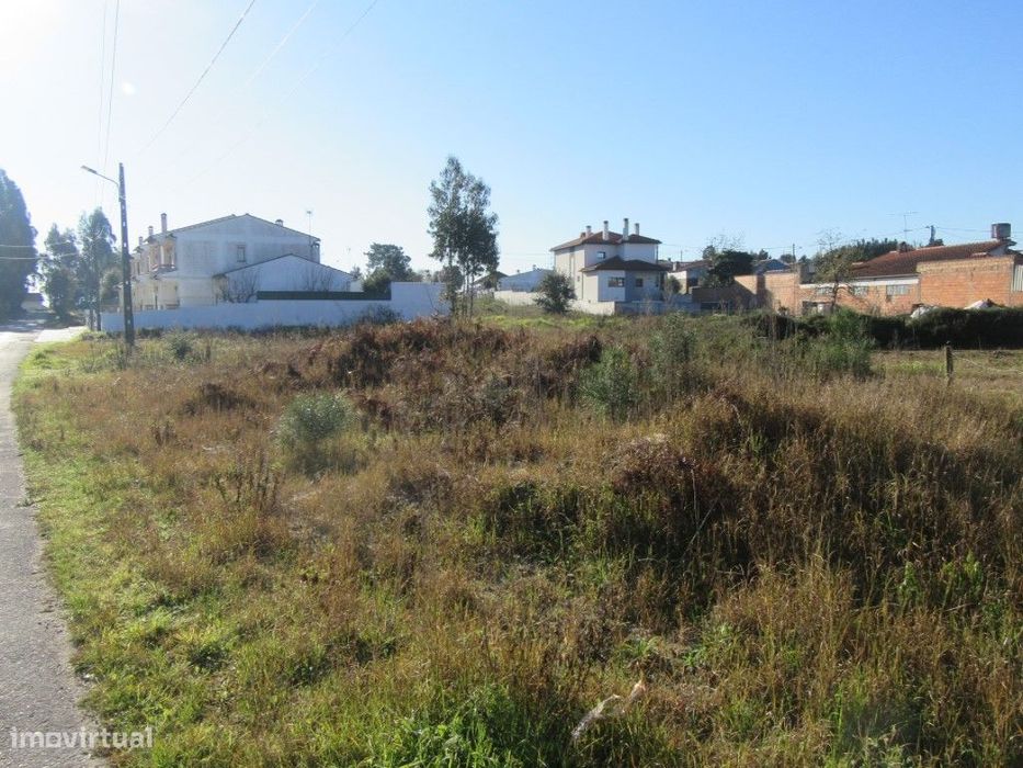 Terreno para construção na zona de Monte Real