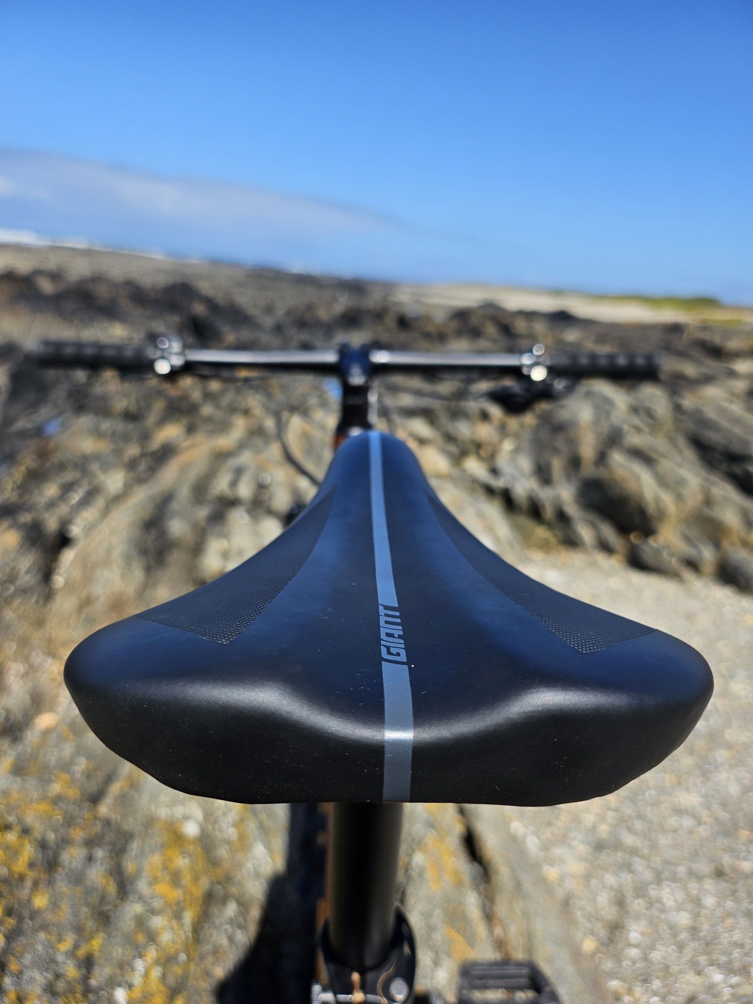 Bicicleta Giant XTC 29" - L