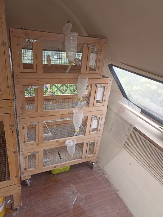 Klatki boksy na drobną egzotyka